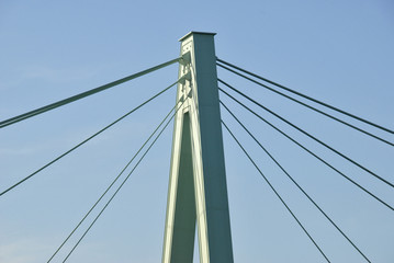 Naklejka premium köln