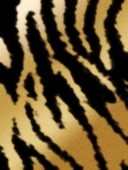 バックグラウンド