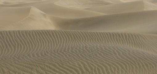 Wüste