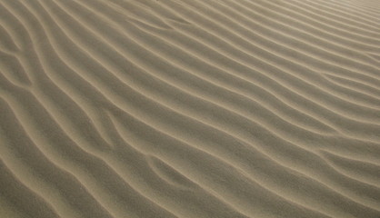 Fototapeta na wymiar Sand in Bewegung