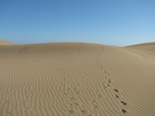 Die Weite der Wüste