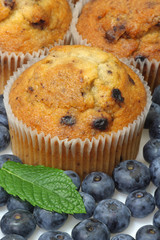 Blaubeermuffins