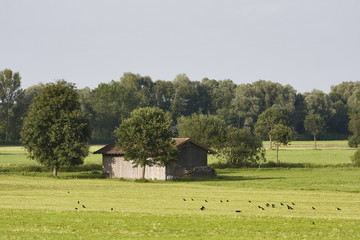 scheune im moor