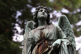 &quot;Engel&quot; Stockfotos und lizenzfreie Bilder auf Fotolia.com - Bild 19309392