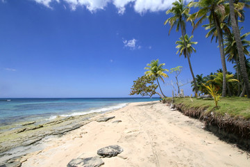 Karibischer Strand