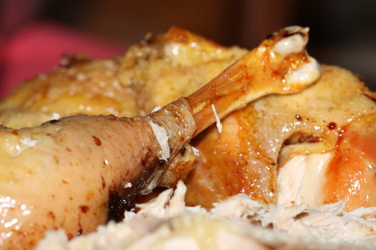 Chapon fermier