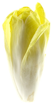 endive fond blanc