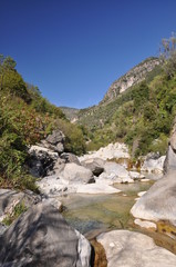 rocchetta nervina