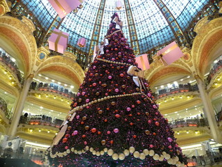 sapin