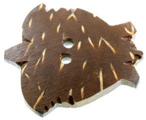 bouton tortue coque noix coco fond blanc