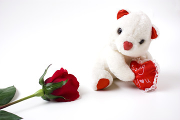 Teddy bear and rose