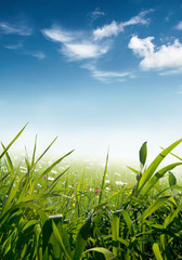 Obraz premium idyllic landscape