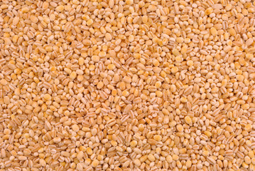 pearl barley