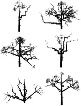 Some trees