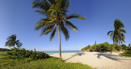 Fototapeta na wymiar Tropical beach with vegetation panorama
