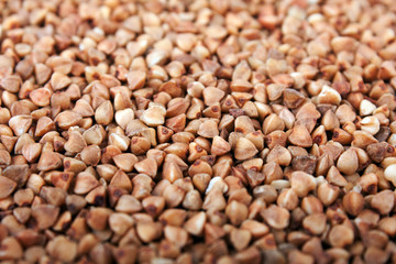 Buckwheat