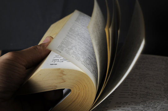 book - encyclopedia - reding