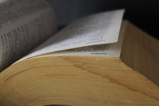 book - encyclopedia - reding