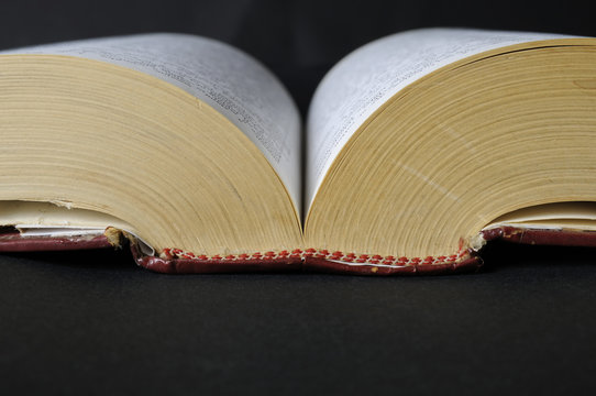 book - encyclopedia - reding