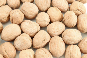 Walnut background