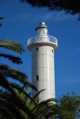 faro tra le palme