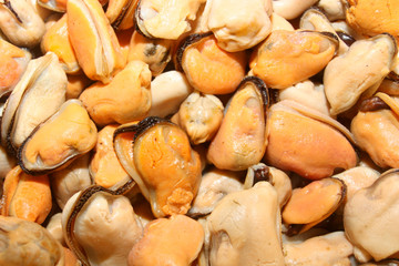 moules