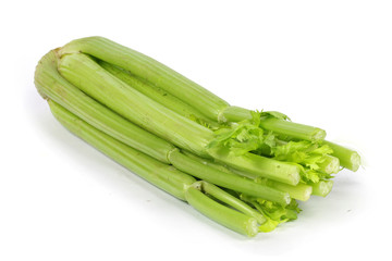 a single celery close-up white background