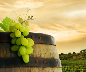 Wine barrel and grape with vineyard in background
