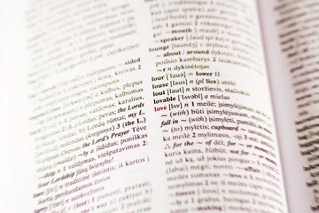 Closeup of the word "love" in a dictionary