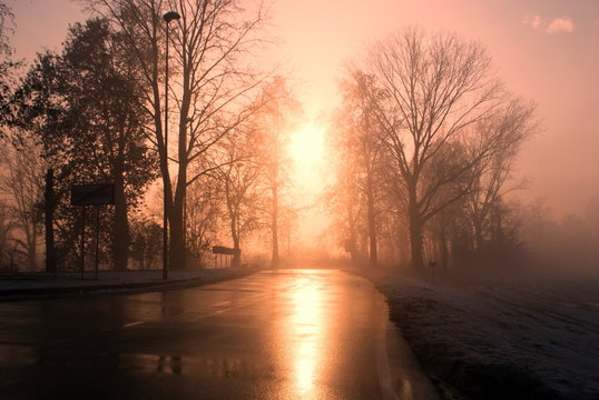 Nebbia a Truccazzano