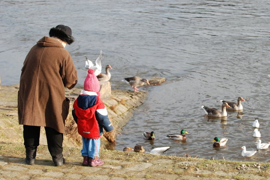 V&ouml;gel f&uuml;ttern