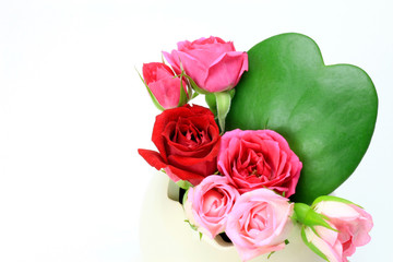 heart-shaped cactus　and rose