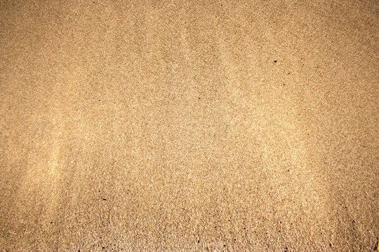 Golden sand background