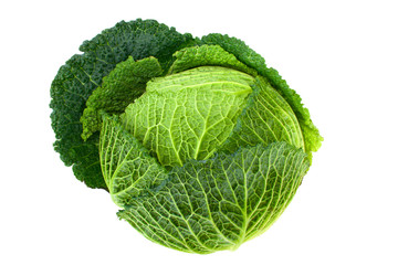 cabbage