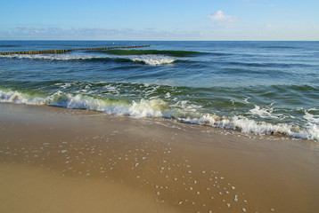 Fototapeta na wymiar Ostsee Strand - plaża 17 Baltic Sea