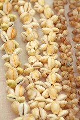 colliers coquillages