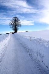 Obraz premium Spaziergang im Schnee