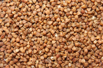 Buckwheat