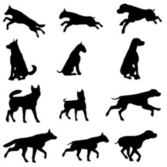 Silhouettes de chien