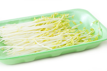 Erbsenspargel Sprossen