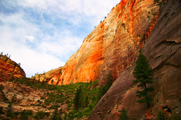 Slopes of Zion canyon. Utah. USA