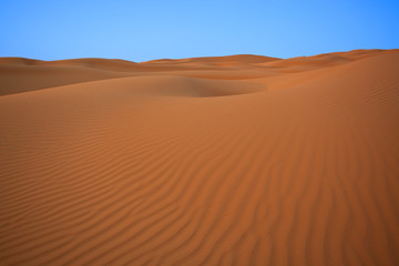 Fototapeta na wymiar desert dunes right before sunset with blue sky
