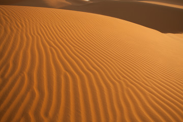 Fototapeta na wymiar african desert - sand structures