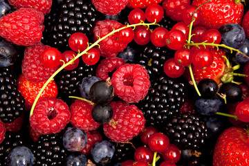 healthy berry mix close