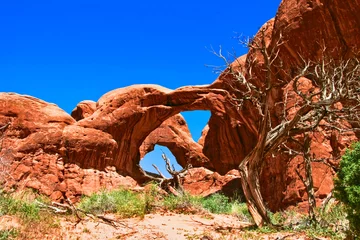 Fotobehang Natuurpark Rode rotsen van Arches Canyon. Utah. VS