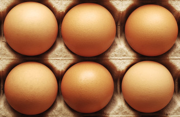 eggs