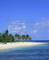 plage paradisiaque