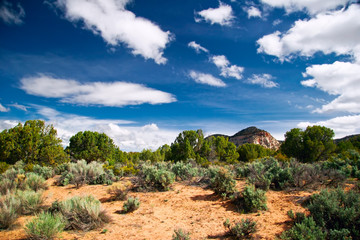 Landscape of Utah state. USA