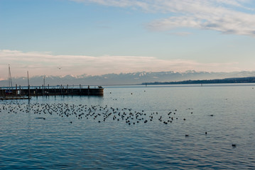 Bodensee