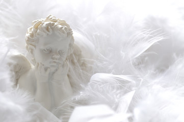 Angel in feathers